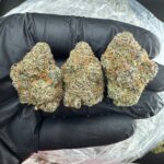 CHERRY FRUIT ROLL UP EXOTIC