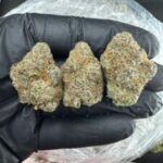 CHERRY SLUSHIES INDOOR