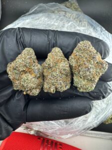 CHERRY SLUSHIES INDOOR