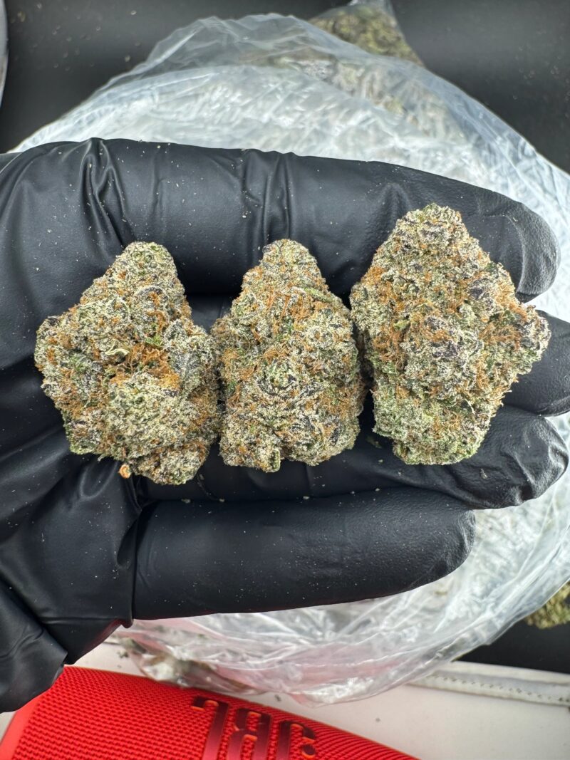 CHERRY FRUIT ROLL UP EXOTIC