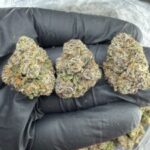 FRUITY PEBBLES MARSHMALLOW EXOTIC